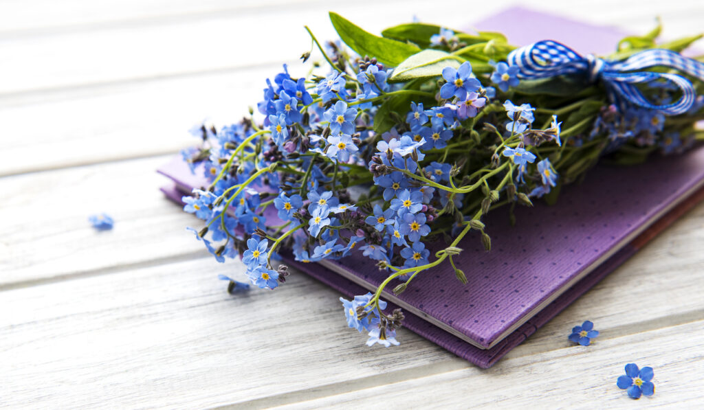 Forget-me-not flowers and notebook Forget me not flowers and notebook on white wooden background